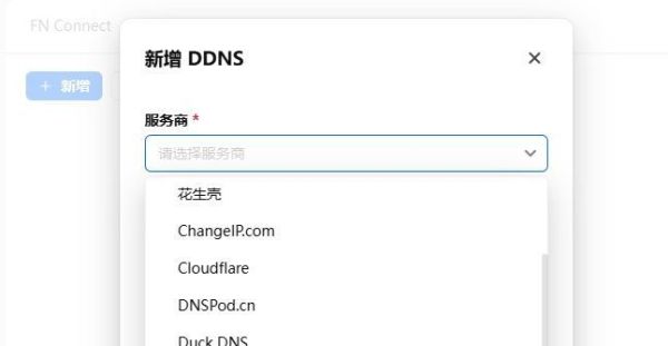 飛牛更新了,現有外國DDNS用了。贊!
