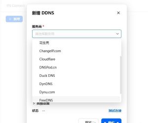 飛牛更新了,現有外國DDNS用了。贊!