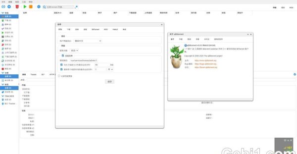 DSM6 套件版qbittorrent 5.0.5